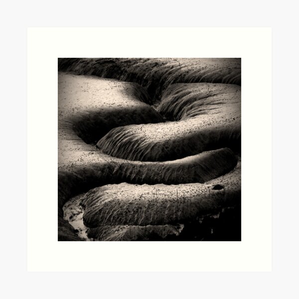 Cree: mudbanks Art Print