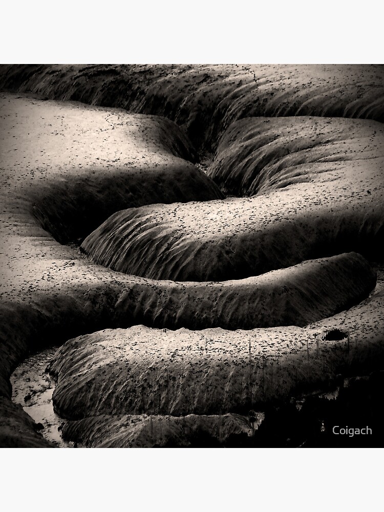 Thumbnail 3 of 3, Art Print, Cree: mudbanks designed and sold by Coigach.