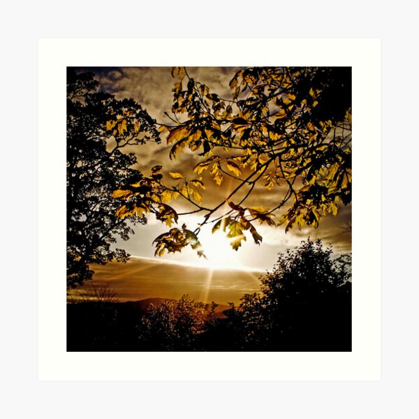 Art Print
