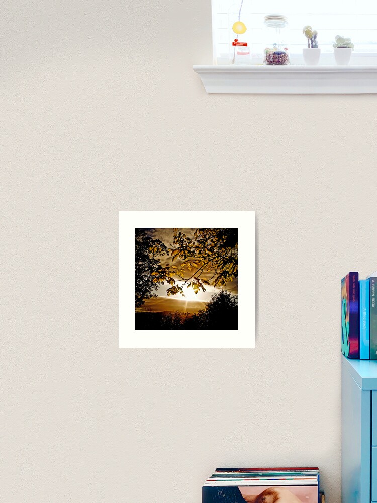 Thumbnail 2 of 3, Art Print, Scottish Spring sunset: new leaves designed and sold by Coigach.