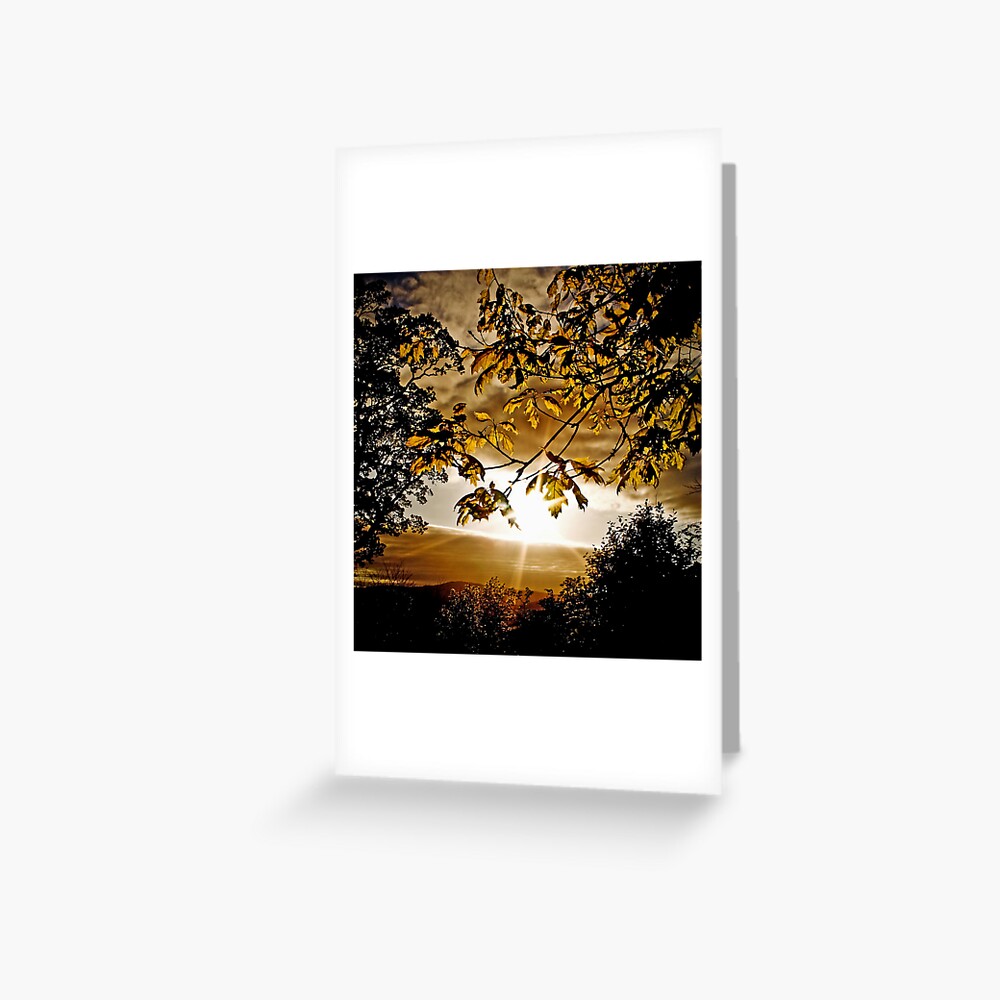 Item preview, Greeting Card designed and sold by Coigach.