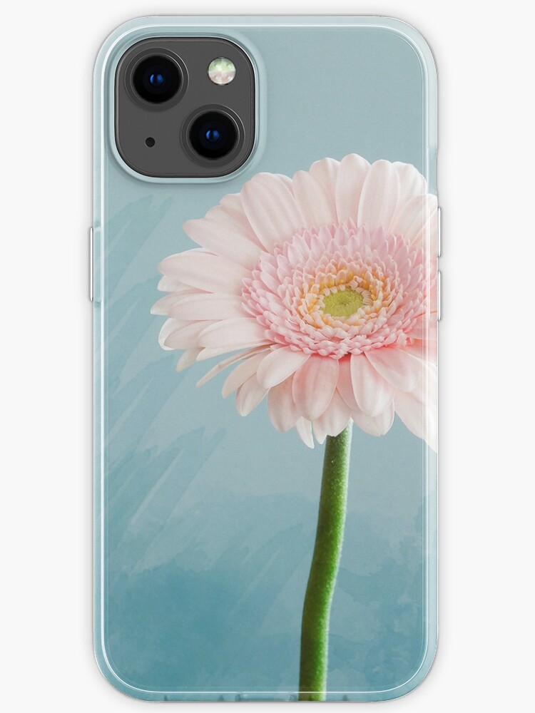 Funda de iPhone «Flor rosa sobre fondo azul agua - Gerbera Daisy» de  alexixela | Redbubble