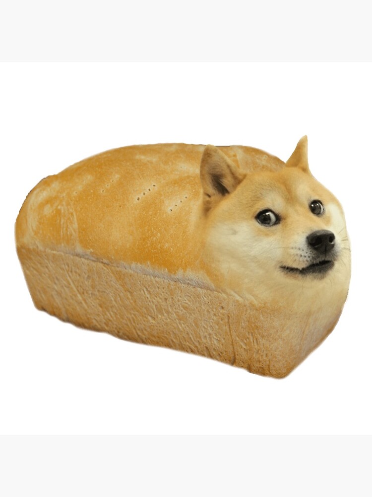 "Doge Loaf Bread Funny Meme" Poster for Sale by M3M3M3RCH Redbubble