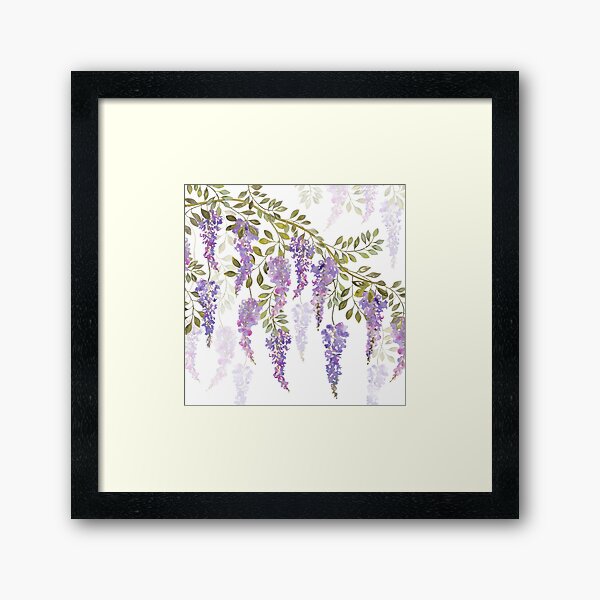 Wisteria Blossoms Framed Art Print