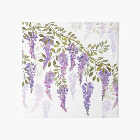 Wisteria Blossoms Art Board Print