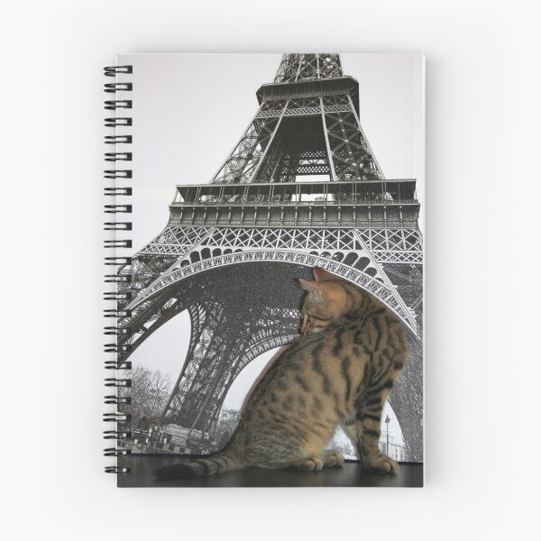 Item preview, Kitten in Paris!!! designed and sold by Jo Nijenhuis.