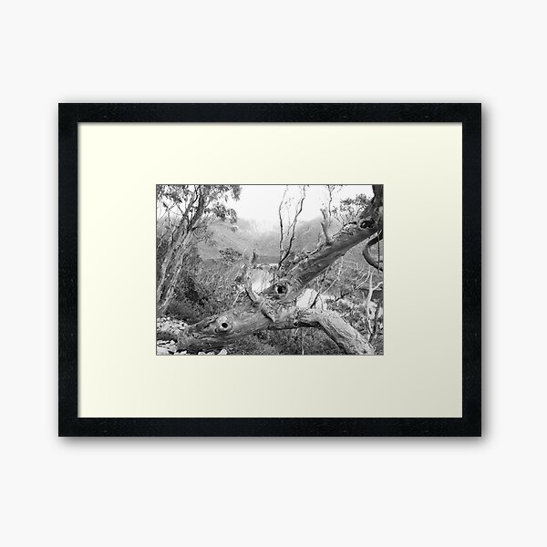 Item preview, b/w snowgum by Hansons Peak, Tasmania designed and sold by Gaylene Norton.