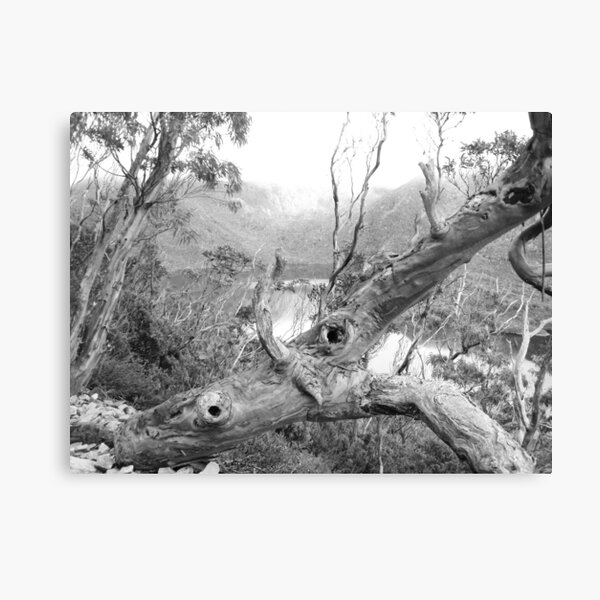 Item preview, b/w snowgum by Hansons Peak, Tasmania designed and sold by Gaylene Norton.