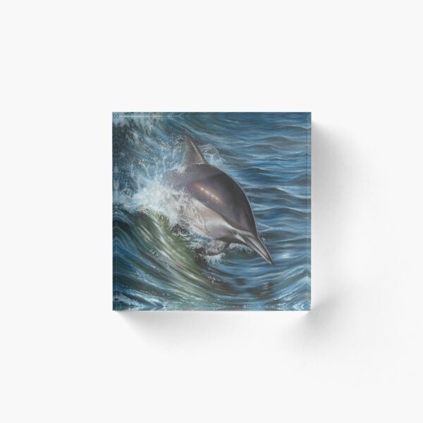 Dolphin Portrait Acrylic Block