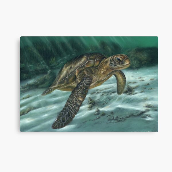 Sea Turtle Canvas Print