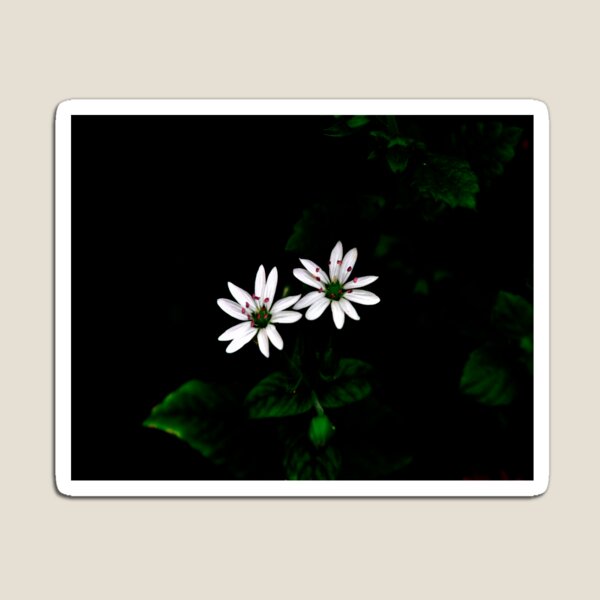 Item preview, Botanical Still-life Little White Flowers designed and sold by by-jwp.