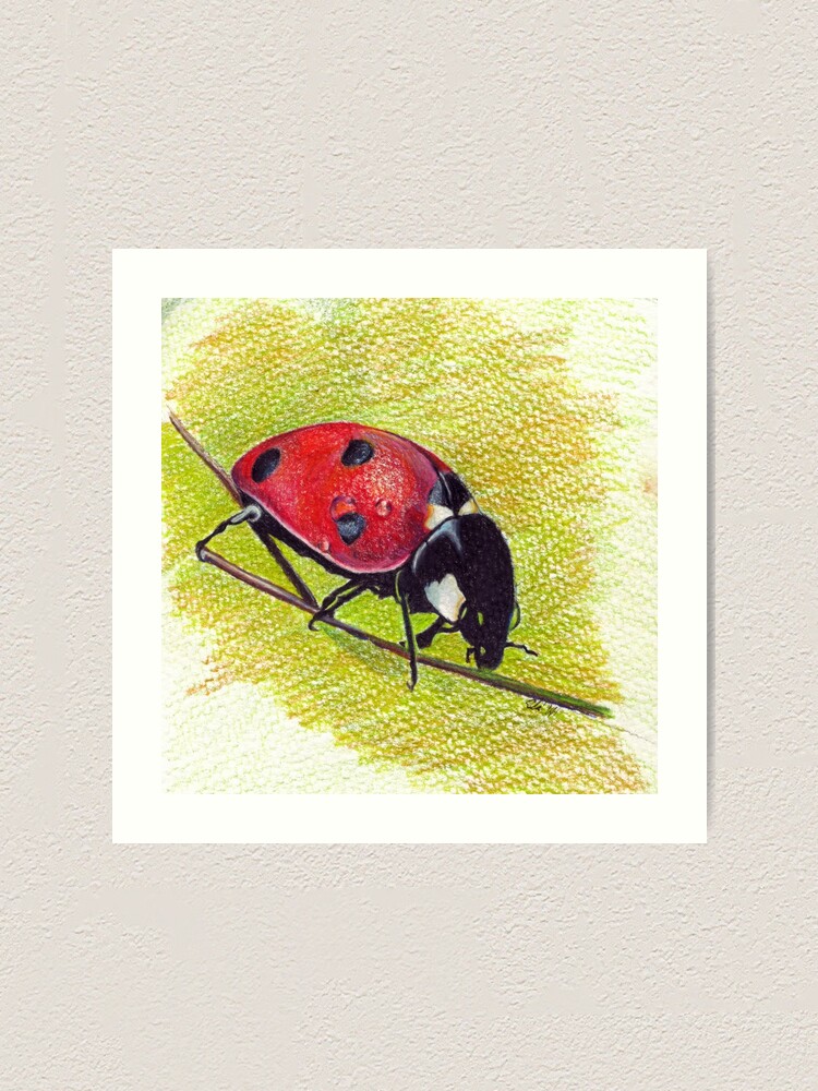 Impression Artistique Coccinelle Dessin D Art Realiste D Ela Steel Par Elasteel Redbubble