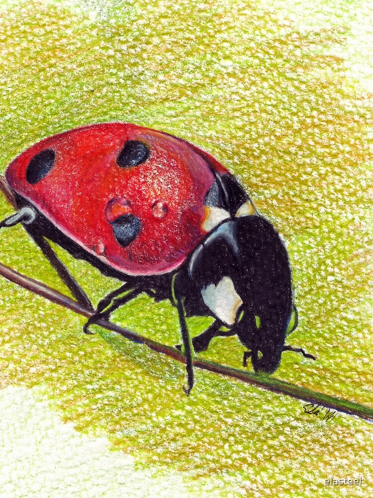 "Ladybug Realistic Art Drawing by Ela Steel" Scarf by elasteel