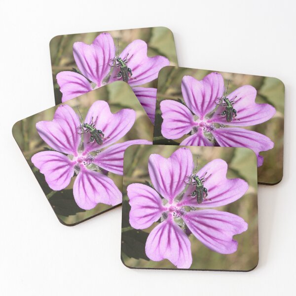 Item preview, Common Mallow designed and sold by pinkal.