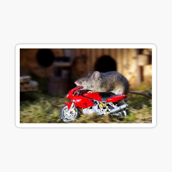 Biker Mouse - make it stop is to fast. Sticker