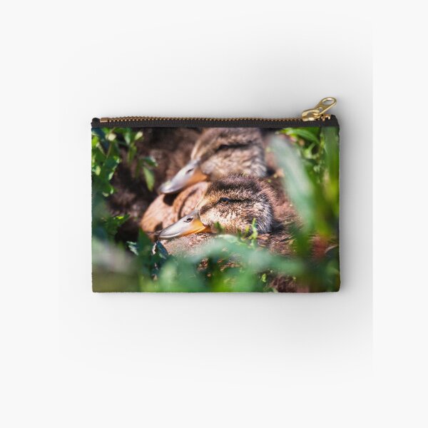 Item preview, Ducklings! designed and sold by Jeffrey Schwartz Photography.