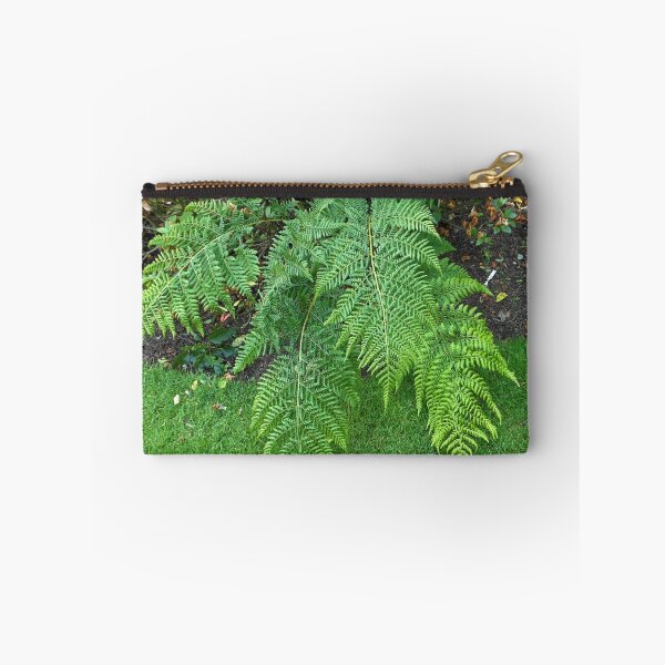 Item preview, A Touch of Green - Beautiful Ferns  designed and sold by Kathryn Jones.