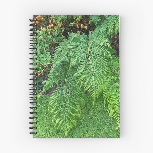 Item preview, A Touch of Green - Beautiful Ferns  designed and sold by Kathryn Jones.