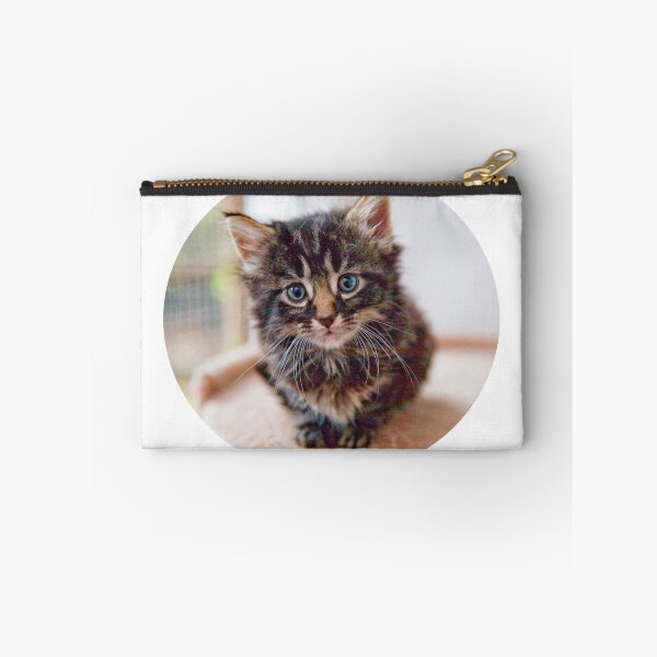 Item preview, Kitten designed and sold by SkullCity.