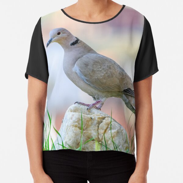 Euroasian collared Dove Chiffon Top