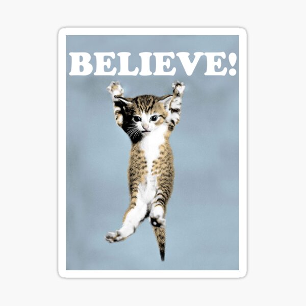 Believe Cat Poster Sticker