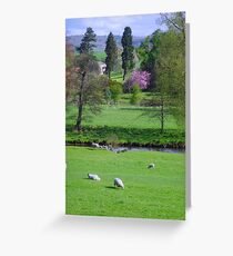Sheep Greeting Card