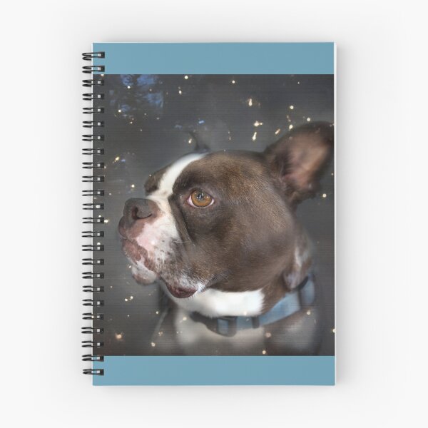 Item preview, Star Gazer designed and sold by Susan Werby.