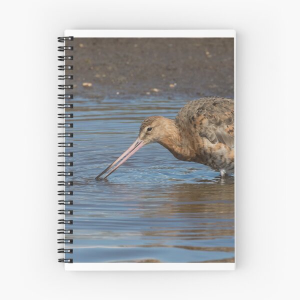 Item preview, Black Tailed Godwit designed and sold by LaurenTucker.