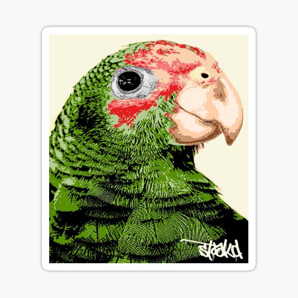 Cayman Parrot Sticker