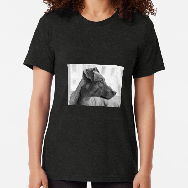Dog T-Shirt - Big Dog Face for Dog Lovers Tri-blend T-Shirt