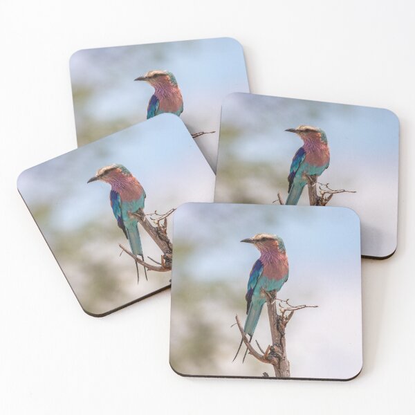 Item preview, Lilac-breasted Roller - Kruger National Park, South Africa designed and sold by holgermader.