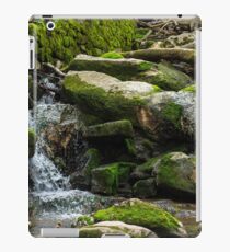 Peaceful iPad Case/Skin