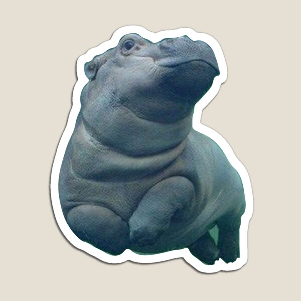 fiona hippo toy