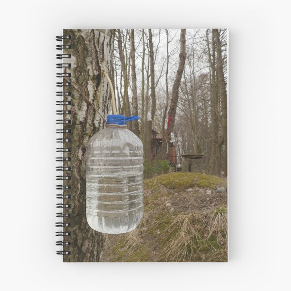Item preview, Birch sap designed and sold by mrivserg.