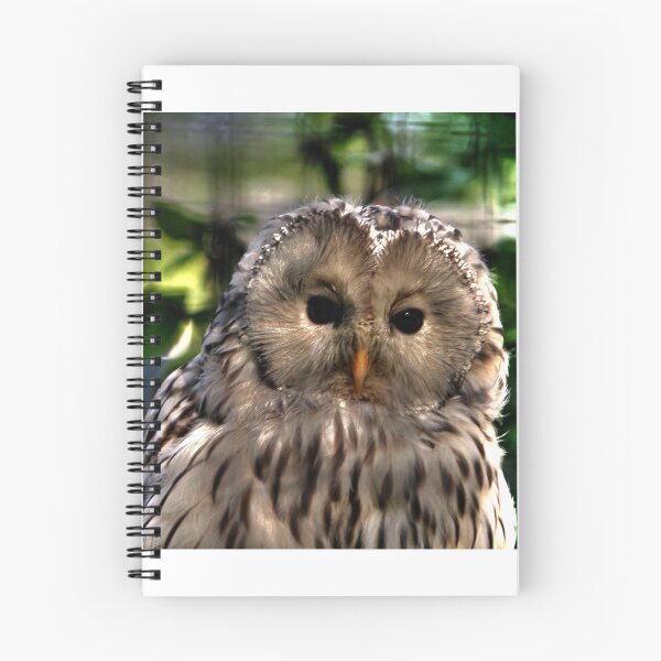 Item preview, Ural Owl designed and sold by Larry Trupp.