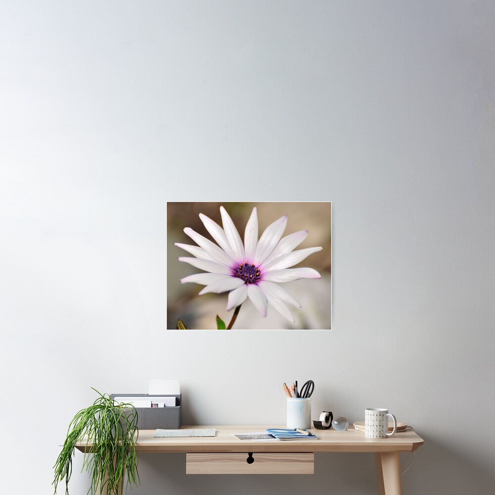 Item preview, Poster designed and sold by pauleden.
