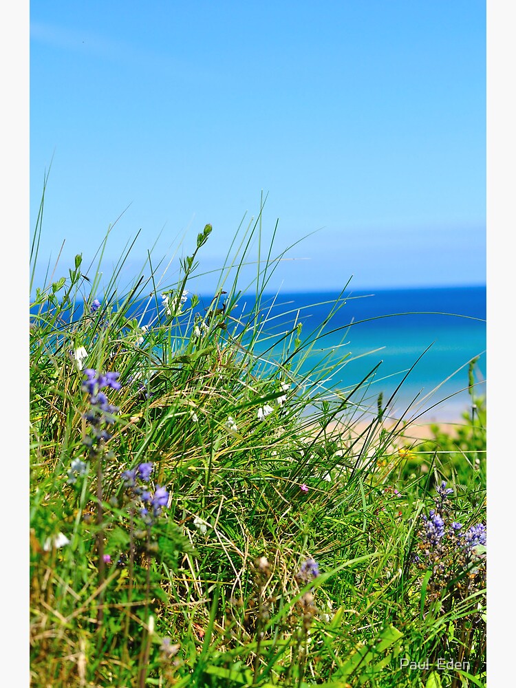 Thumbnail 7 of 7, Framed Art Print, Grass and Sea designed and sold by Paul Eden.