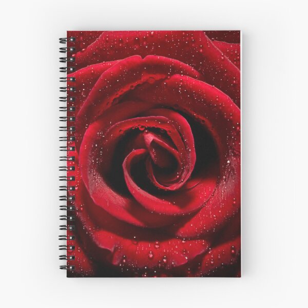 Item preview, Red Rose designed and sold by Paulie-W.