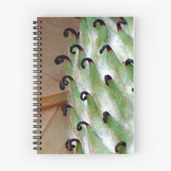 Item preview, Continuum designed and sold by Jean Gregory Evans.