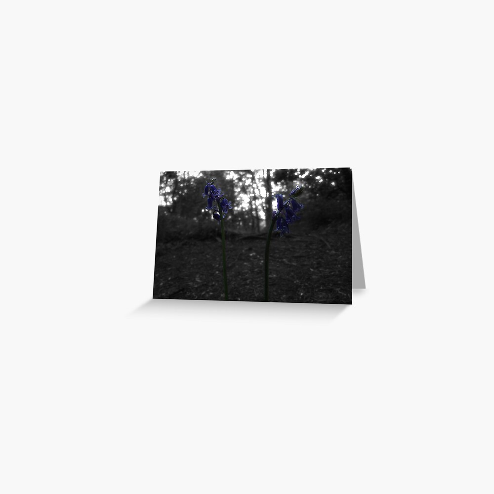 Item preview, Greeting Card designed and sold by pauleden.