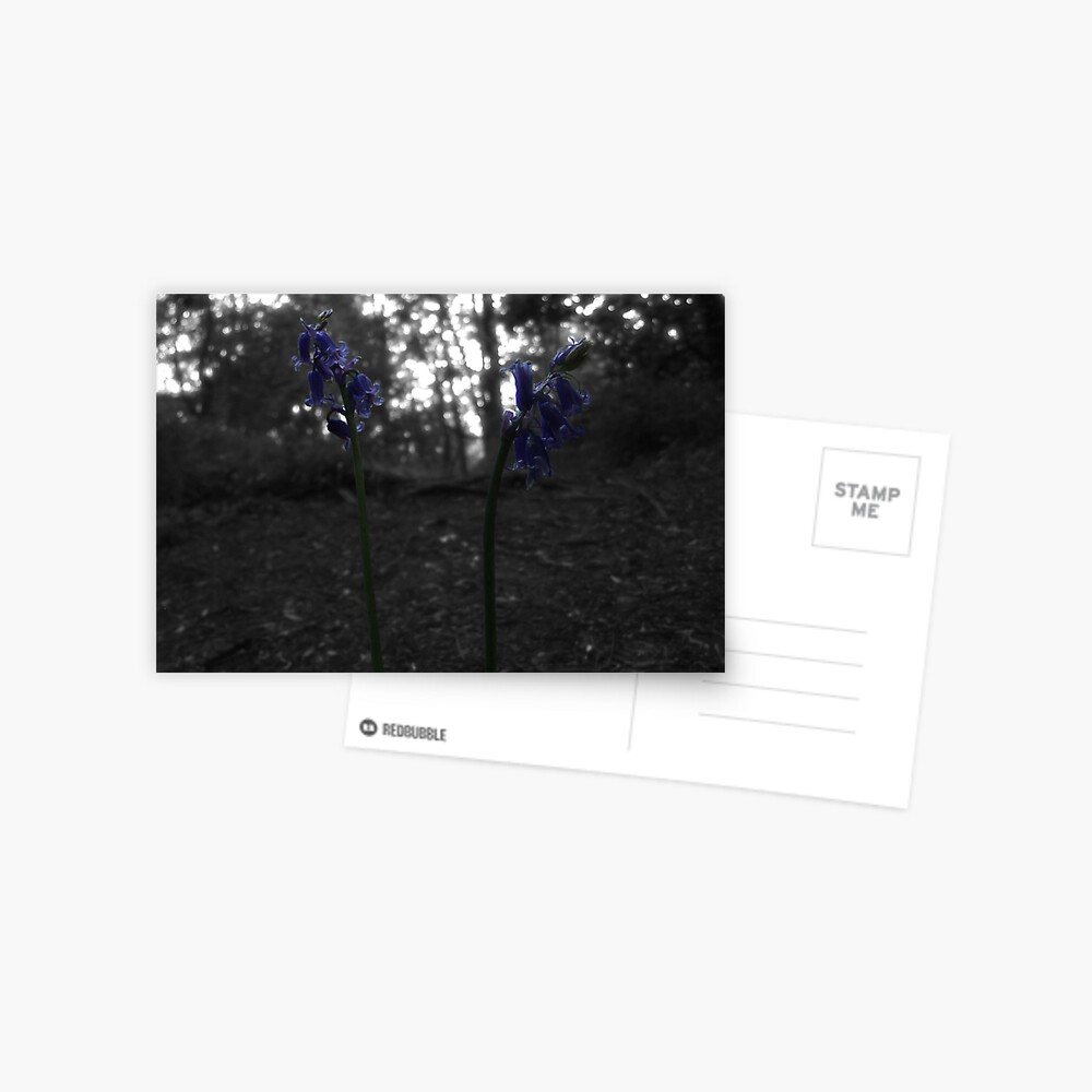 Item preview, Postcard designed and sold by pauleden.