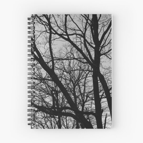 Item preview, Silhouetted Winter Branches designed and sold by Artberry.