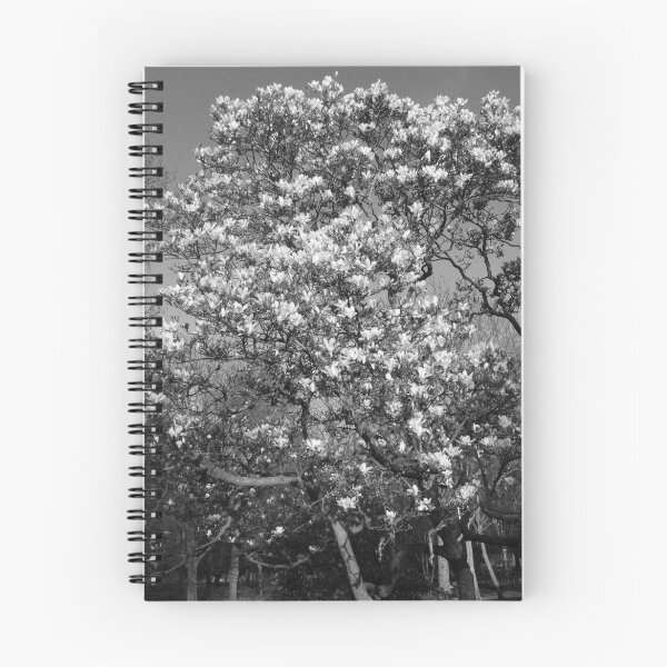 Item preview, Magnolia Tree in Blossom (BW) designed and sold by Artberry.