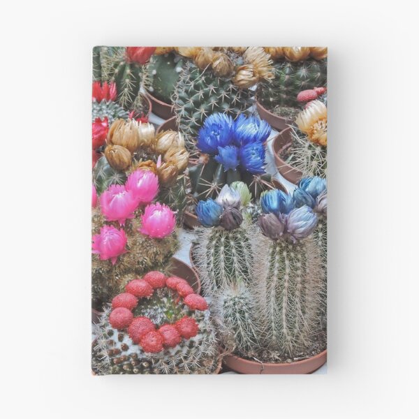 Item preview, Prickly beauties designed and sold by Margaret  Hyde.