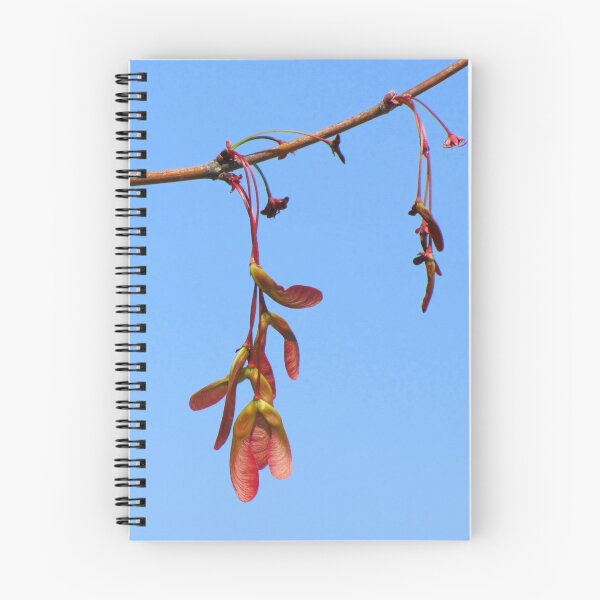 Item preview, Sycamore Seeds in Spring designed and sold by Jean Gregory Evans.