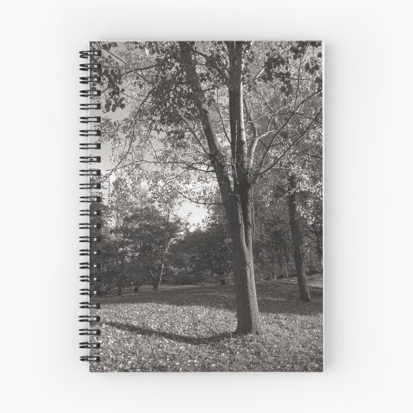 Item preview, Autumn Landscape Bute Park Cardiff designed and sold by Artberry.