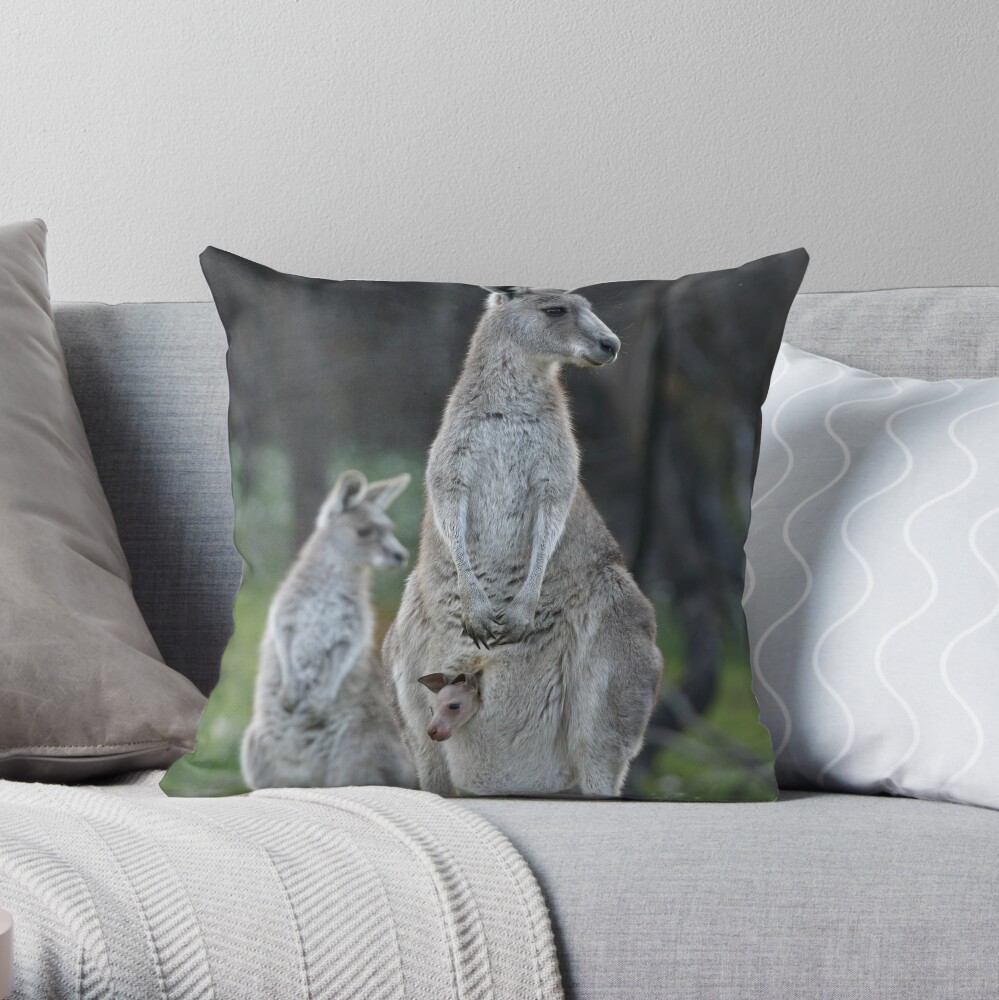 A comfy ride Throw Pillow