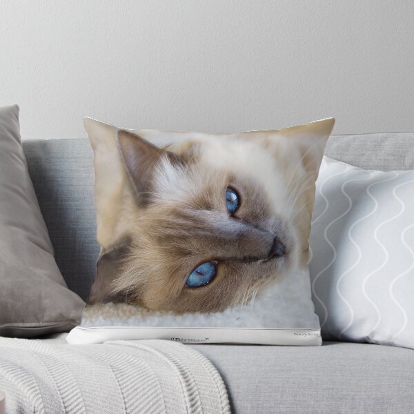 Item preview, Birman  designed and sold by JAS095.