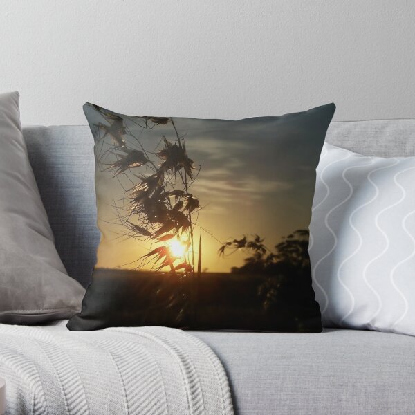 Transcend Throw Pillow