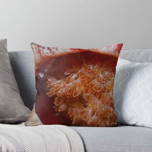 Item preview, Spanish Dancer designed and sold by Douglas Stetner.